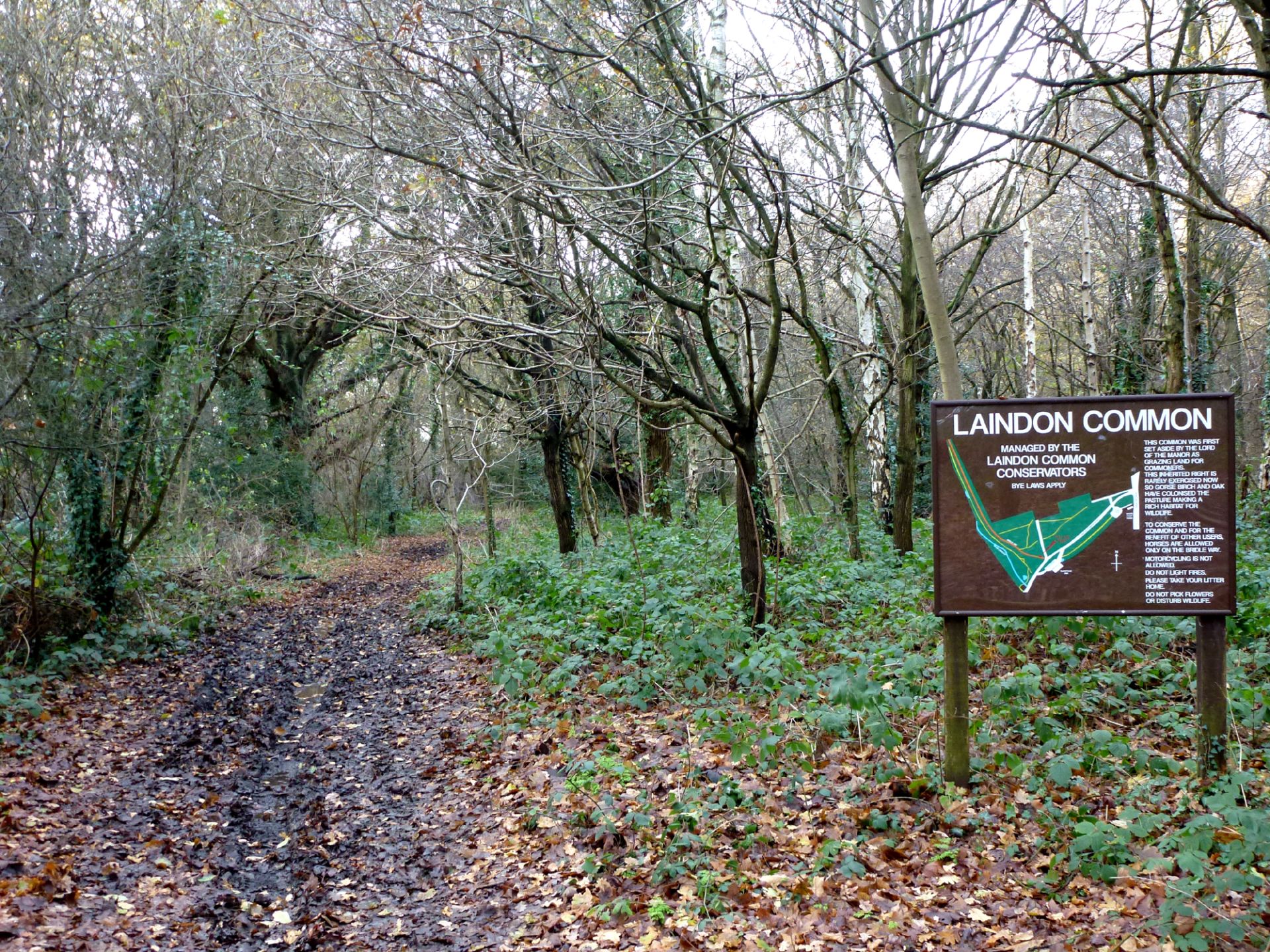 Visiting Laindon Common (photo Geograph)